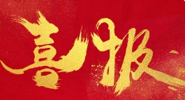 ϲح11ٻȫϵͳǿ֧ͷ